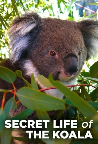 Póster de la serie La Vida Secreta de El Koala