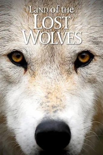 Póster de la serie Land of the Lost Wolves
