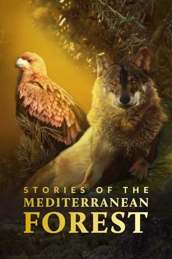 Póster de la serie Las historias del bosque mediterráneo