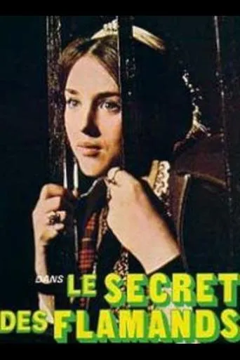 Póster de la serie Le Secret des Flamands
