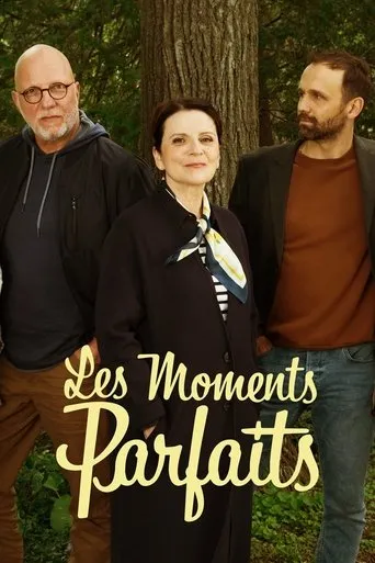 Póster de la serie Les moments parfaits