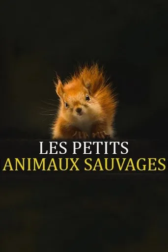 Póster de la serie Les Petits Animaux Sauvages