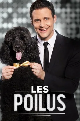 Póster de la serie Les poilus