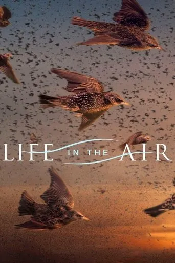 Póster de la serie Life in the Air