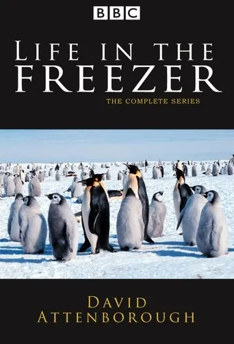 Póster de la serie Life in the Freezer