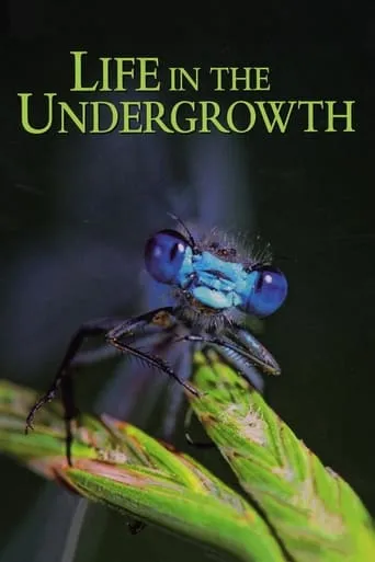 Póster de la serie Life in the Undergrowth