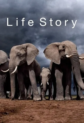 Póster de la serie Life Story