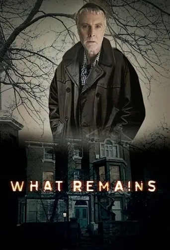 Póster de la serie Lo que queda en el desván