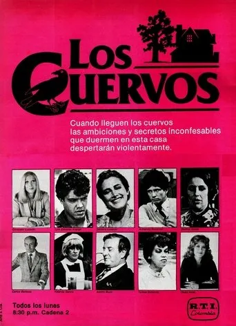 Póster de la serie Los cuervos