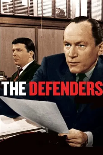 Póster de la serie Los defensores