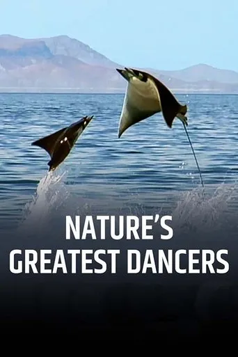 Póster de la serie Los grandes bailarines de la naturaleza