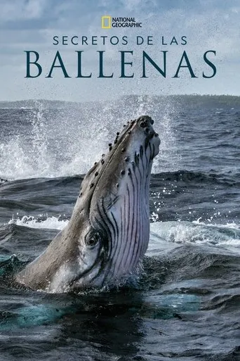 Póster de la serie Los Secretos de las ballenas