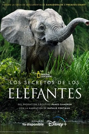 Póster de la serie Los secretos de los elefantes