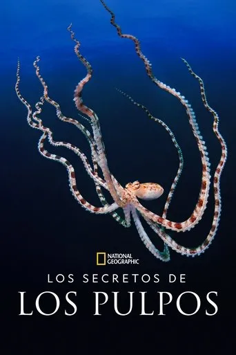 Póster de la serie Los secretos de los pulpos