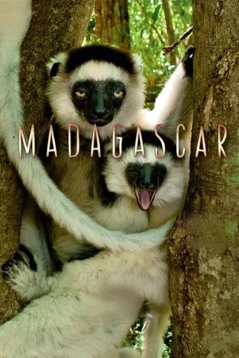 Póster de la serie Madagascar