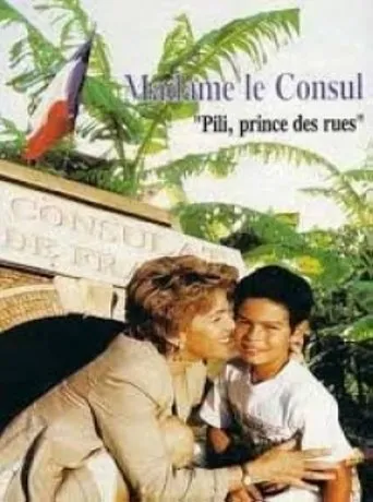 Póster de la serie Madame le Consul