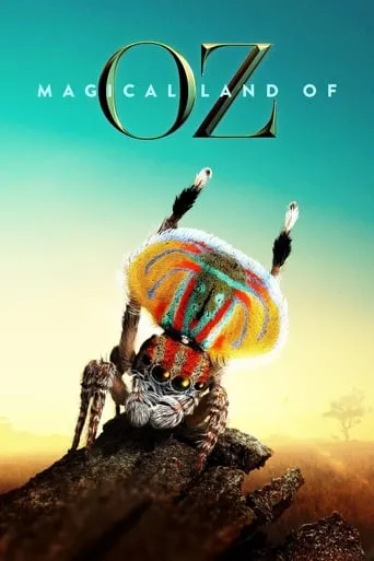 Póster de la serie Magical Land of Oz