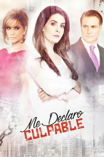 Póster de la serie Me declaro culpable