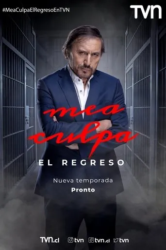 Póster de la serie Mea culpa