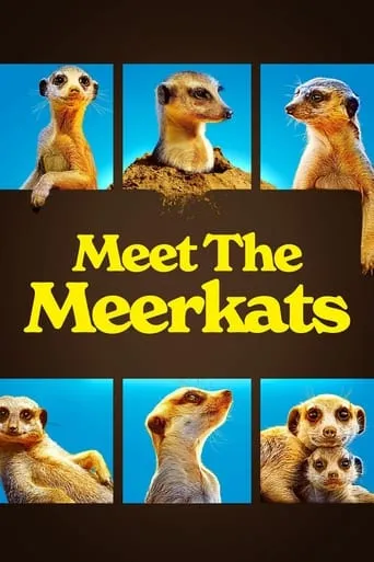 Póster de la serie Meet The Meerkats