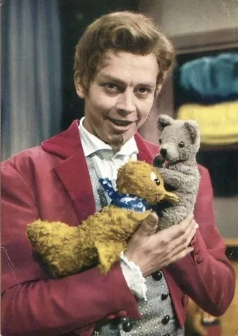 Póster de la serie Meister Nadelöhr