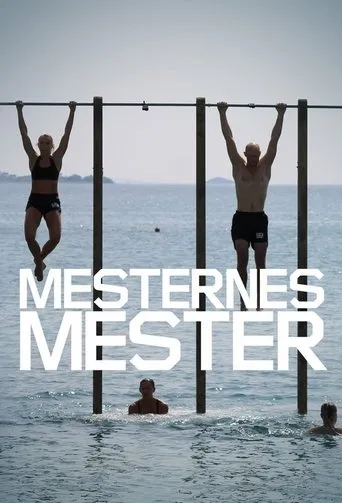 Póster de la serie Mesternes mester