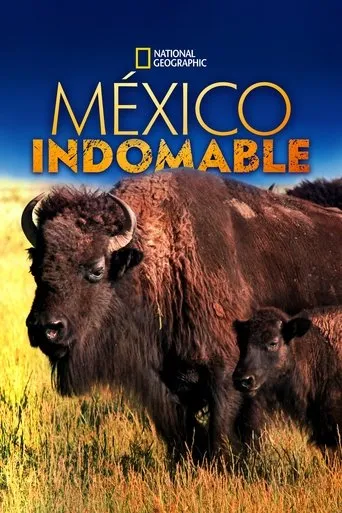 Póster de la serie México indomable