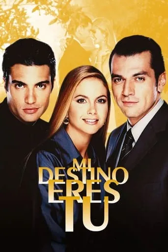 Póster de la serie Mi Destino Eres Tú