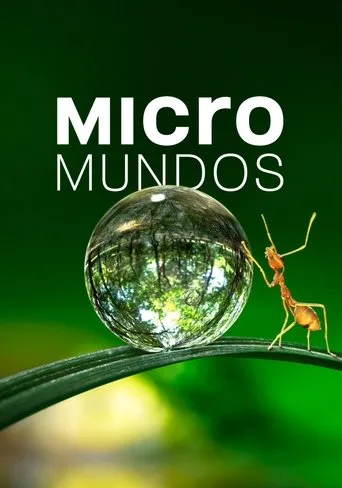 Póster de la serie Micromundos