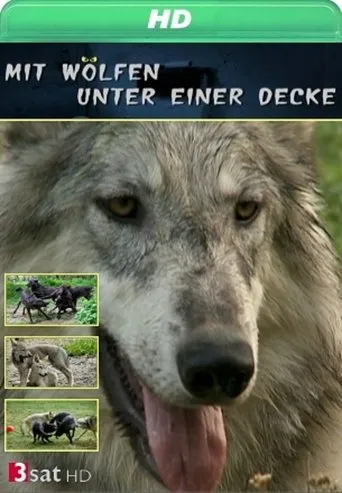 Póster de la serie Mit Wölfen unter einer Decke