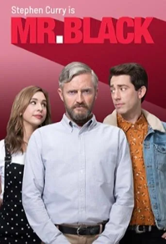 Póster de la serie Mr. Black
