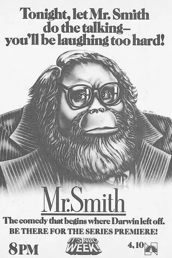 Póster de la serie Mr. Smith