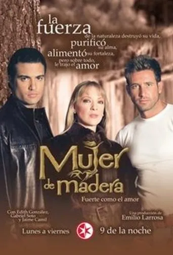 Póster de la serie MUJER DE MADERA