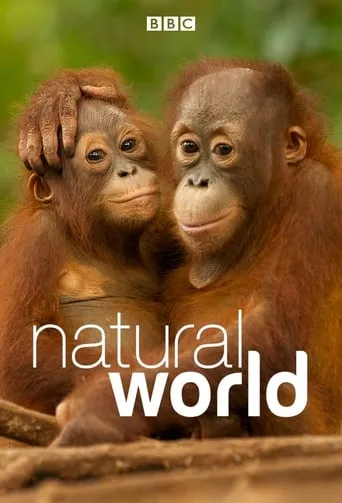 Póster de la serie Mundo Natural