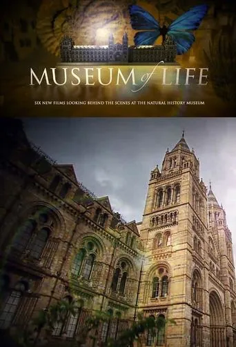 Póster de la serie Museum of Life