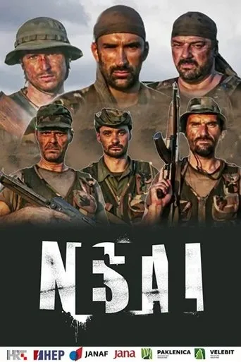 Póster de la serie Nestali