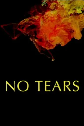 Póster de la serie No Tears