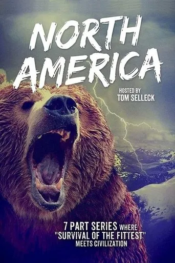 Póster de la serie North America