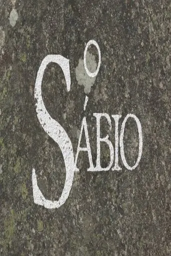 Póster de la serie O Sábio