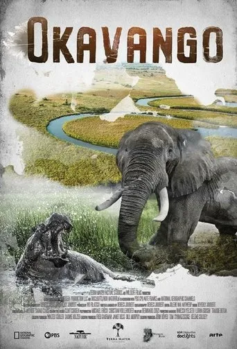Póster de la serie Okavango