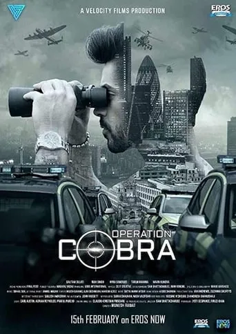 Póster de la serie Operation Cobra