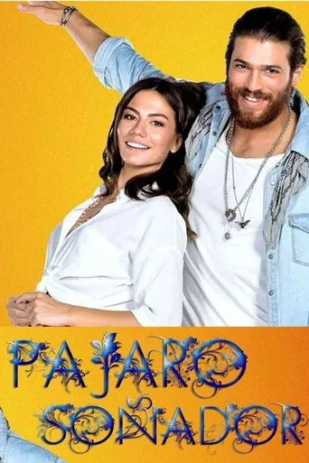 Póster de la serie Pajaro Soñador