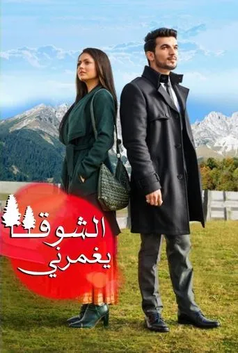 Póster de la serie Pardes Mein Hai Mera Dil