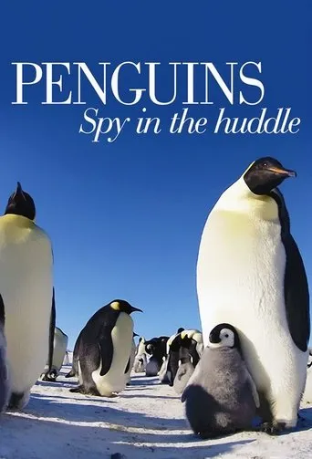 Póster de la serie Penguins: Spy in the Huddle
