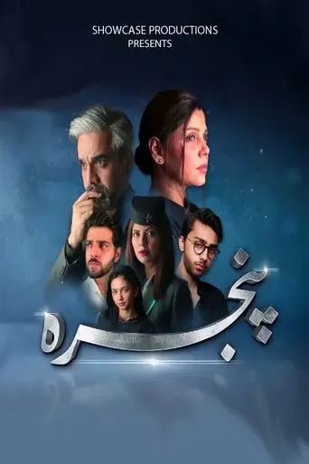 Póster de la serie Pinjra