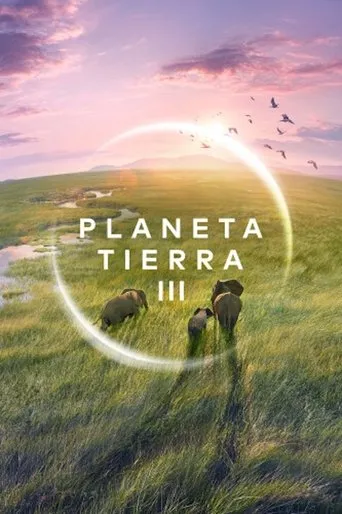 Póster de la serie Planeta Tierra III