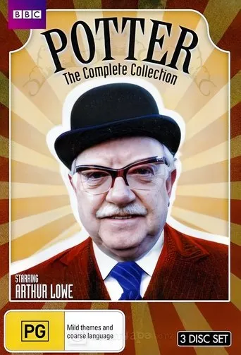 Póster de la serie Potter
