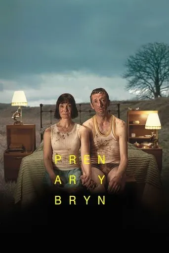 Póster de la serie Pren ar y Bryn