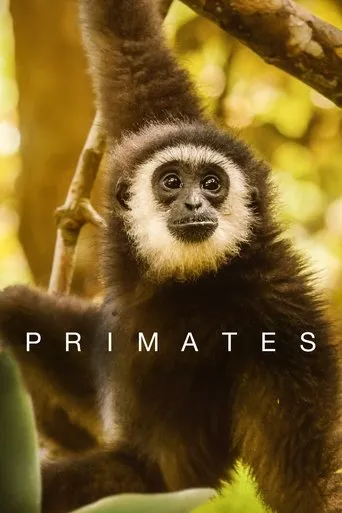 Póster de la serie Primates