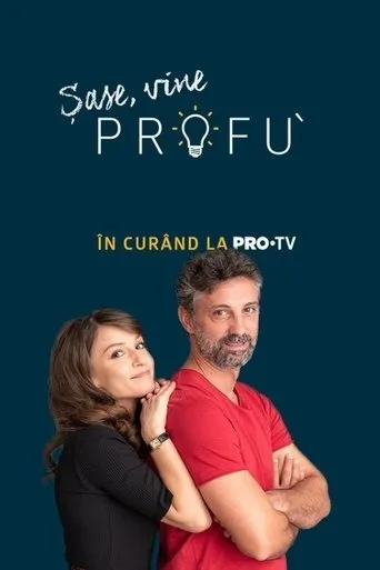 Póster de la serie Profu'